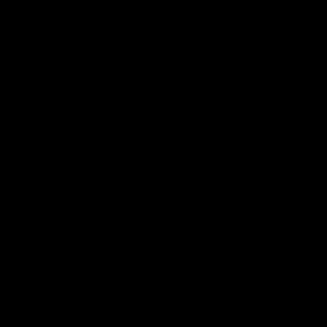 Meet your Posher, Juice